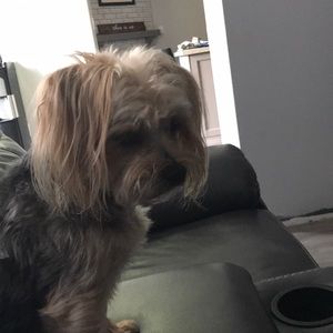 Meet your Posher, Tina